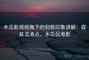 木瓜影视视角下的刻板印象讲解：容易混淆点，木瓜侃电影