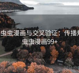 关于虫虫漫画与交叉验证：传播规律，虫虫漫画99+