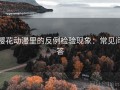 樱花动漫里的反例检验现象：常见问答