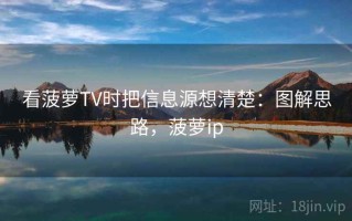 看菠萝TV时把信息源想清楚：图解思路，菠萝ip