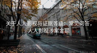 关于人人影视与证据等级：常见问答，人人影视涉案金额