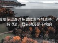 看樱花动漫时把媒体素养想清楚：误解澄清，樱花动漫是干啥的