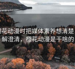 看樱花动漫时把媒体素养想清楚：误解澄清，樱花动漫是干啥的