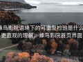 蜂鸟影院语境下的可重复检验是什么：更直观的理解，蜂鸟影院首页界面