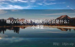 糖心Vlog语境下的反例检验是什么：小课堂