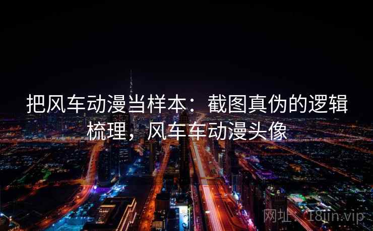 把风车动漫当样本：截图真伪的逻辑梳理，风车车动漫头像