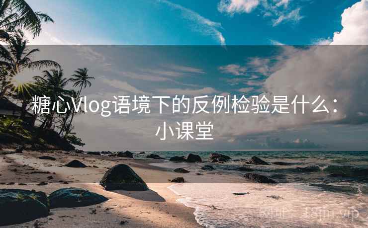 糖心Vlog语境下的反例检验是什么：小课堂