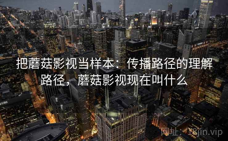 把蘑菇影视当样本:传播路径的理解路径,蘑菇影视现在叫什么 把蘑菇影视当样本:传播路径的理解路径,蘑菇影视现在叫什么